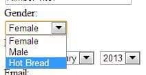 A screenshot of a simple online form with a &quot;Gender&quot; field and dropdown options of &quot;Female&quot;, &quot;Male&quot;, &quot;Hot Bread&quot;
