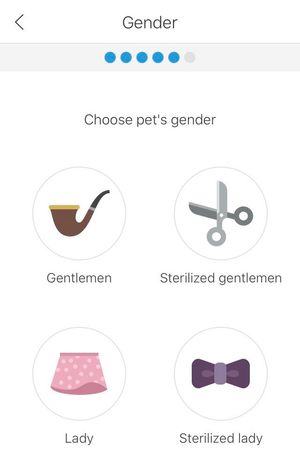 A screenshot of a mobile app on a screen for &quot;Gender&quot; with a prompt for &quot;Choose pet&#39;s gender&quot; and four options - &quot;Gentlemen&quot; with an icon of a pipe, &quot;Sterilized gentlemen&quot; with an icon of scissors, &quot;Lady&quot; with an icon of a pink skirt, and &quot;Sterilized lady&quot; with an icon of a purple bowtie