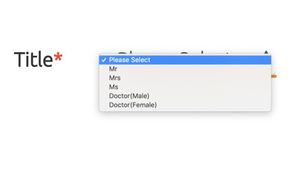 A screenshot of a form field called &quot;Title&quot; with a select dropdown of &quot;Please Select&quot;, &quot;Mr&quot;, &quot;Mrs&quot;, &quot;Ms&quot;, &quot;Doctor(Male)&quot;, &quot;Doctor(Female)&quot;
