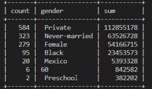 A screenshot of a mySQL output, with three columns: count, gender, and sum, with the following entries for the gender column: &#39;Private&#39;, &#39;Never-married&#39;, &#39;Female&#39;, &#39;Black&#39;, &#39;Mexico&#39;, &#39;60&#39;, and &#39;Preschool&#39;.