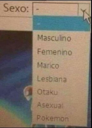 A screenshot of a Spanish-language dropdown titled "Sexo" with options "-", "Masculino", "Femenino", "Marico", "Lesbiana", "Otaku", "Asexual", "Pokemon"